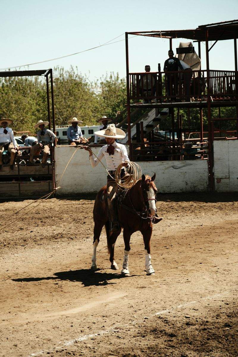 Hobbyhorse Haven - Image 10